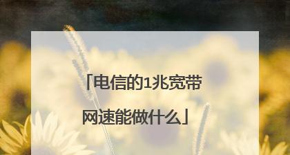 探讨手机网速为1mbps的使用体验（以1mbps网速畅享移动互联网时代的乐趣）