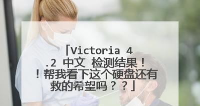 使用HDDReg修复硬盘问题的完整教程（详细介绍如何使用HDDReg软件修复损坏的硬盘数据及恢复丢失的文件）