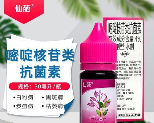 苹果笔记本大白菜装机教程（简单易懂的教程帮你轻松DIY装机）