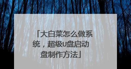 大白菜安装版系统教程（从零开始，让你的电脑焕发新生）