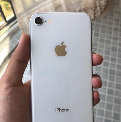iPhone8照相表现如何？（详细解析iPhone8照相功能的性能和特点）