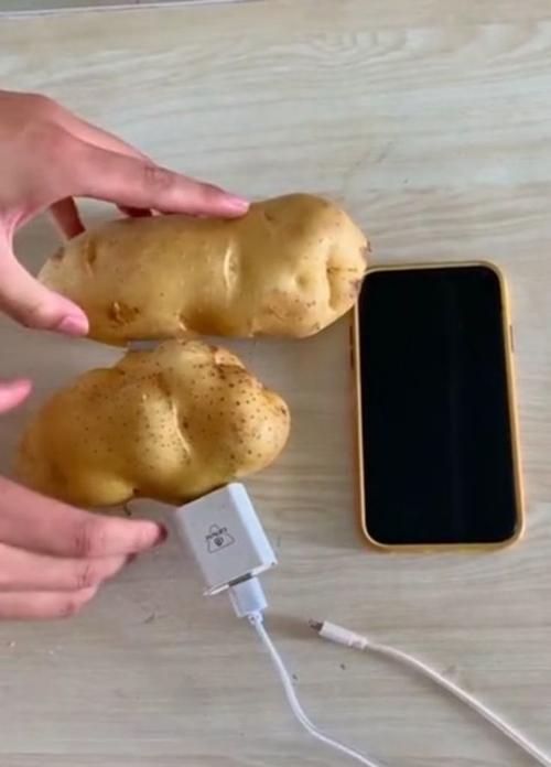 土豆充电的奇妙之道（解密土豆充电的神秘力量，让科技与自然完美结合）