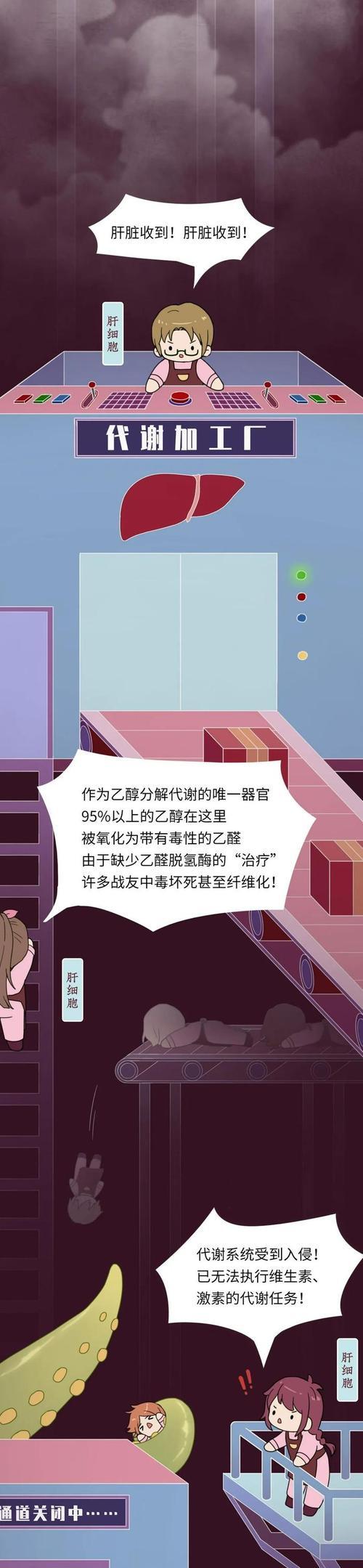 人体无细胞的后果与影响（探索细胞在人体中的重要性及其消失的可能影响）