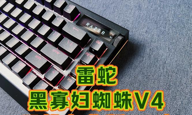 雷蛇黑腹狼蛛（了解雷蛇黑腹狼蛛的魅力与需求）