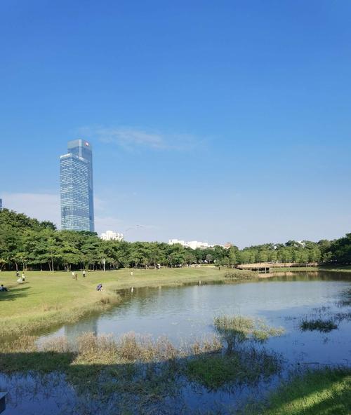 以人瞩浏览器（通过智能算法和定制化功能，满足用户个性化需求）