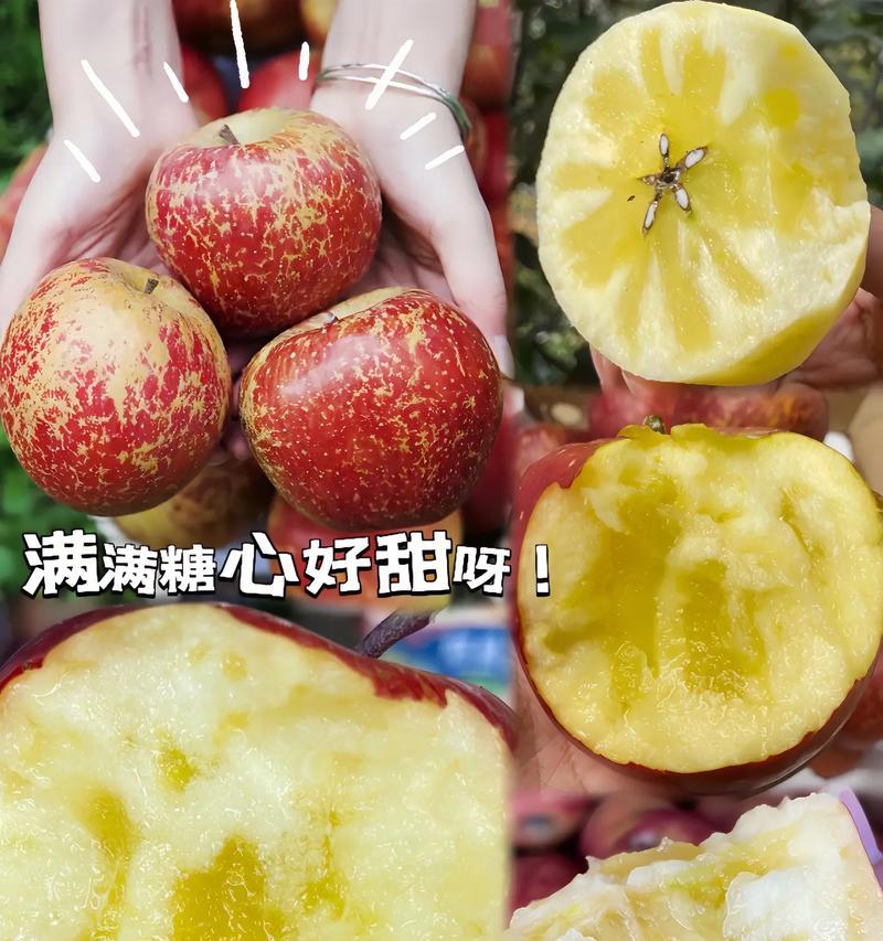米派手机质量综合评测（全方位解析米派手机的品质及用户体验）
