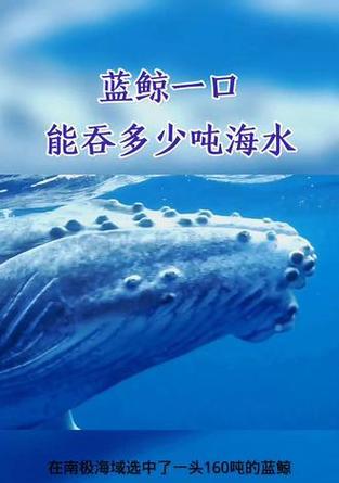 喝了一口海水后果的危险性（探索海水饮用的影响及解决方法）